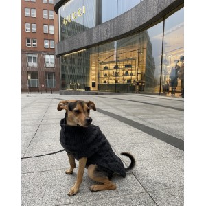 Dog sweater ASPEN gray | Bowl and Bone Republic | PETZWELCOME