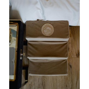 Schodki dla psa COPENHAGEN złote | CHLOE'S HOME | PETZWELCOME