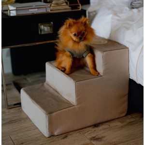 Schodki dla psa COPENHAGEN złote | CHLOE'S HOME | PETZWELCOME