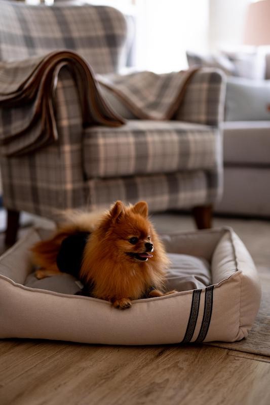 Pet bed COPENHAGEN gray | CHLOE'S HOME | PETZWELCOME