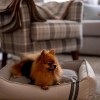 Legowisko COPENHAGEN szare | CHLOE'S HOME | PETZWELCOME