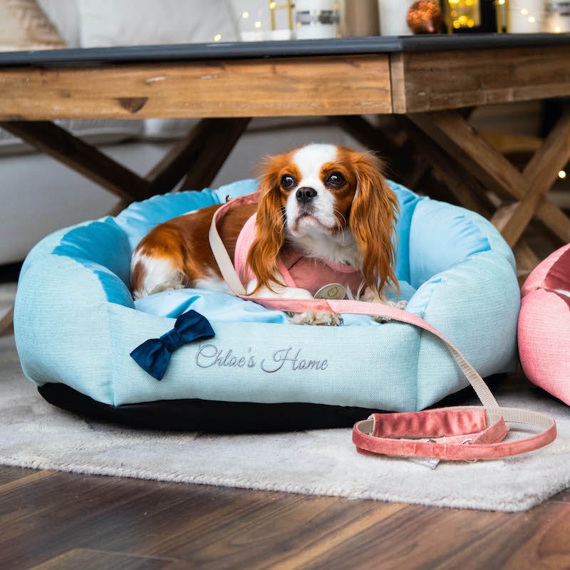 Stylish BAHAMAS dog or cat bed blue