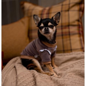 Butterfly dog ​​sweatshirt brown