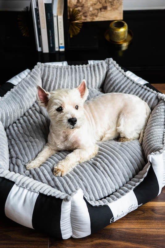 Posłanie glamour MONTE CARLO czarno-białe | Chloe's Home | PETZWELCOME