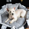 Posłanie glamour MONTE CARLO czarno-białe | Chloe's Home | PETZWELCOME