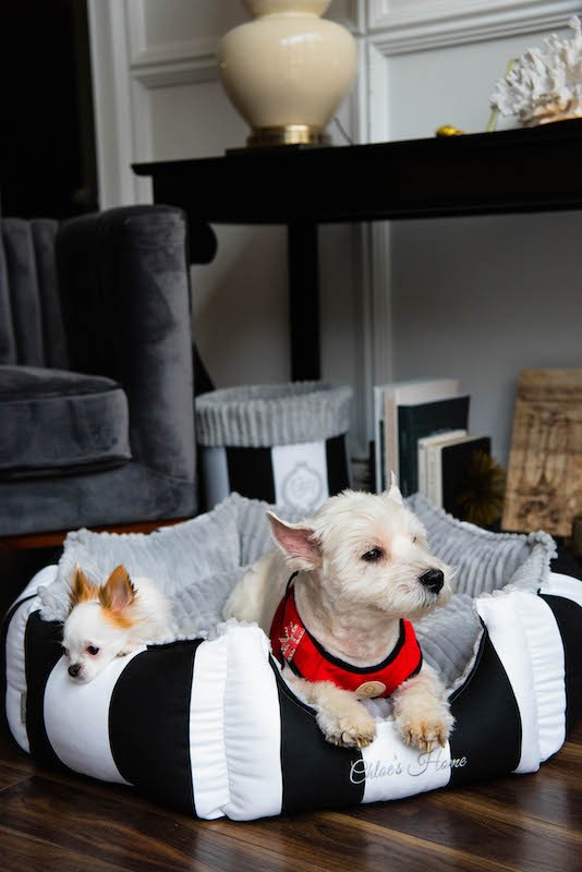 Posłanie glamour MONTE CARLO czarno-białe | Chloe's Home | PETZWELCOME