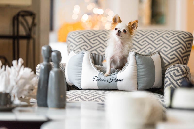 Posłanie glamour MONTE CARLO szaro-białe | Chloe's Home | PETZWELCOME