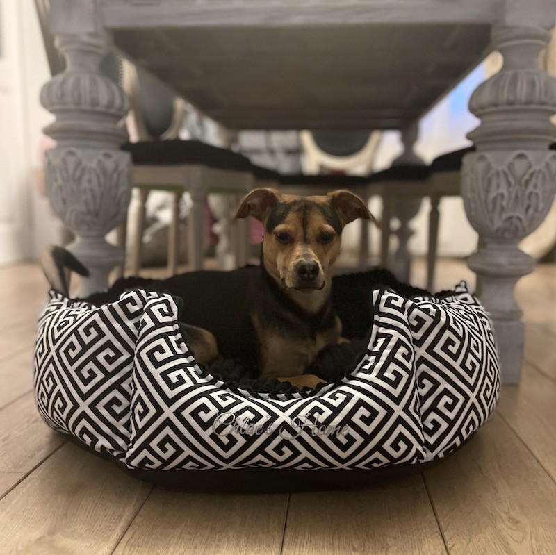 MONTREAL glamour bed