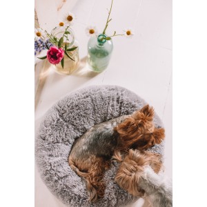 Oval cushion PETERSBURG gray