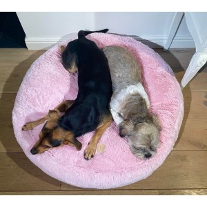 Oval cushion PETERSBURG pink