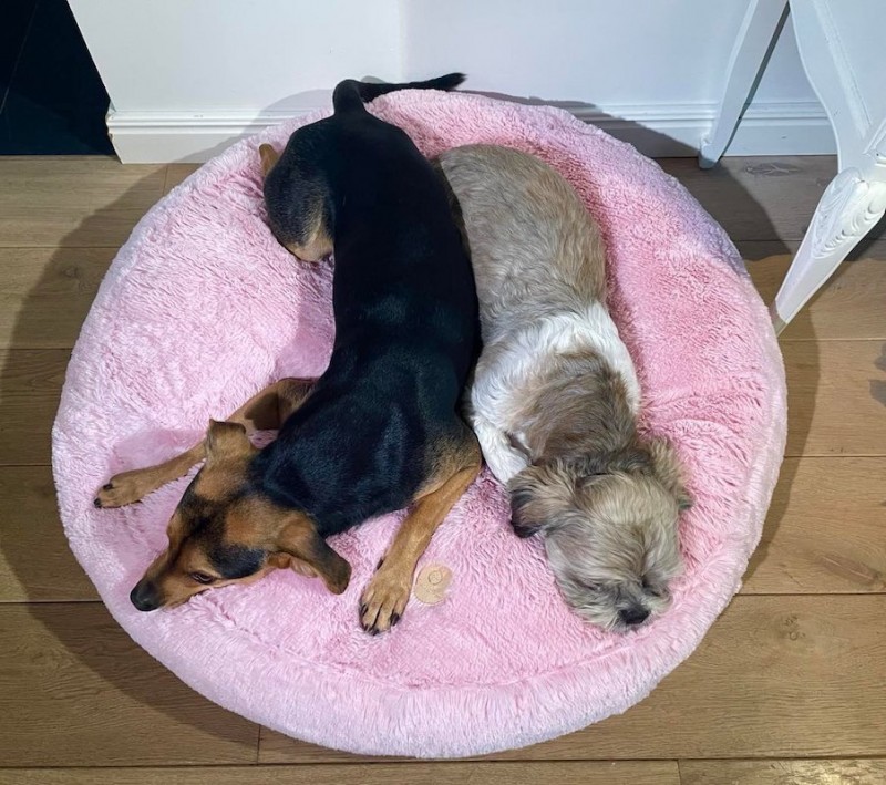 Oval cushion PETERSBURG pink