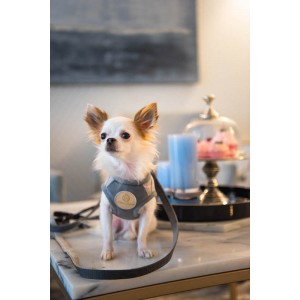 Harness vest Chloe's Home London Exclusive