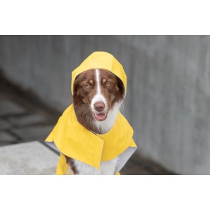 Dog raincoat STORM pink