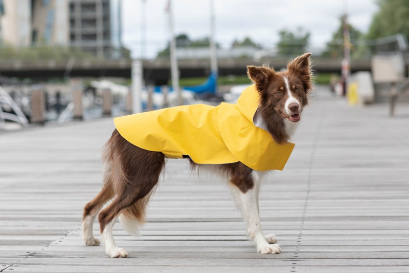 Dog raincoat STORM orange