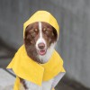 Dog raincoat STORM orange