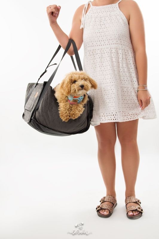 ERO SOFT How are you summer dog car seat max 25kg | Bebobi | PETZWELCOME