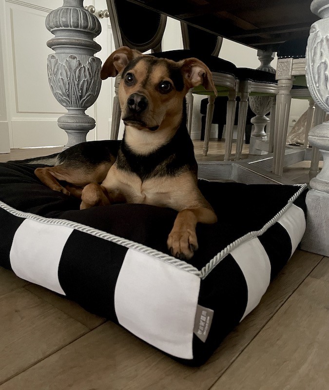 Pet bed RIO black