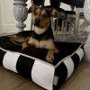Pet bed RIO black
