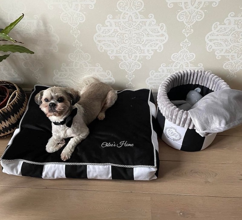 Box na zabawki MONTE CARLO czarny | PETZWELCOME