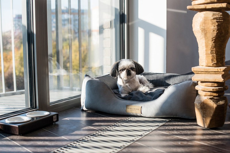 Dog bed  CLASSIC gray| Bowl and Bone Republic | PETZWELCOME