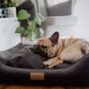 Dog bed  CLASSIC brown| Bowl and Bone Republic | PETZWELCOME