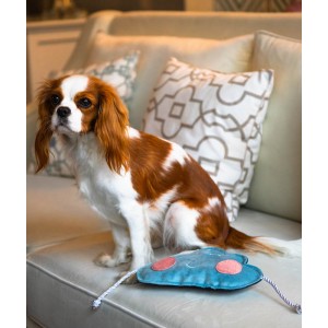 Dog toy CLOUD |  PETZWELCOME