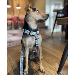 Szelki dla psa typu guard Leniwce | PETZWELCOME