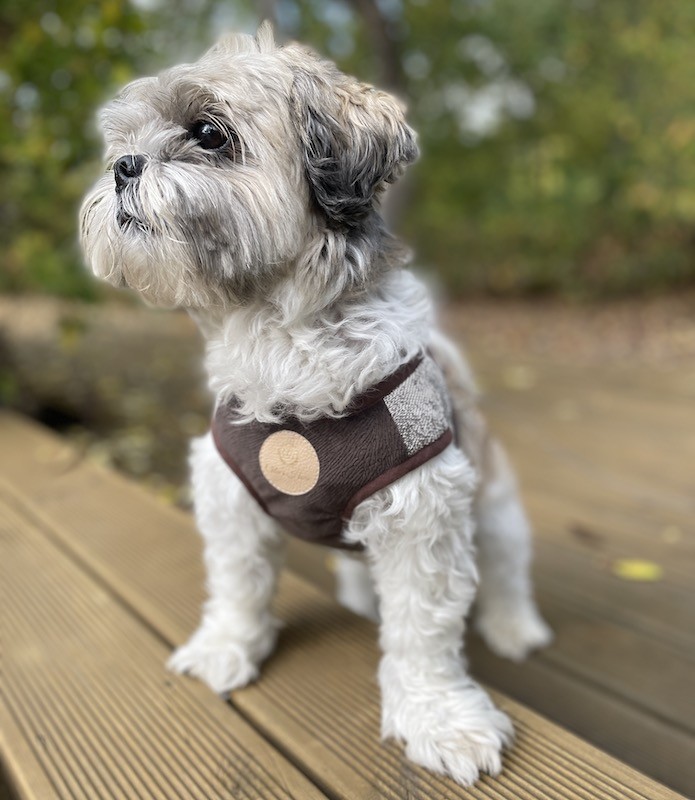 Szelki typu kamizelka NEW YORK brązowe | PETZWELCOME