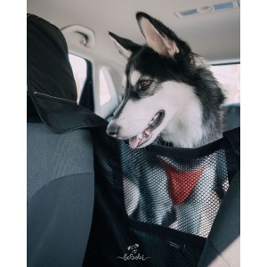 Car seat cover for a dog „KUKO+” Beige | Bebobi | PETZWELCOME