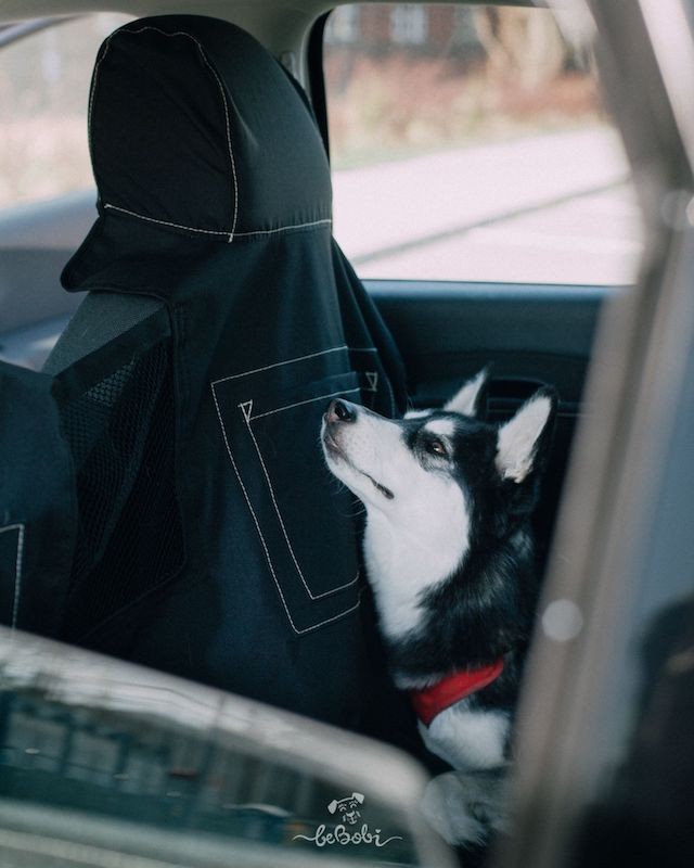 Car seat cover for a dog „KUKO+” Beige | Bebobi | PETZWELCOME