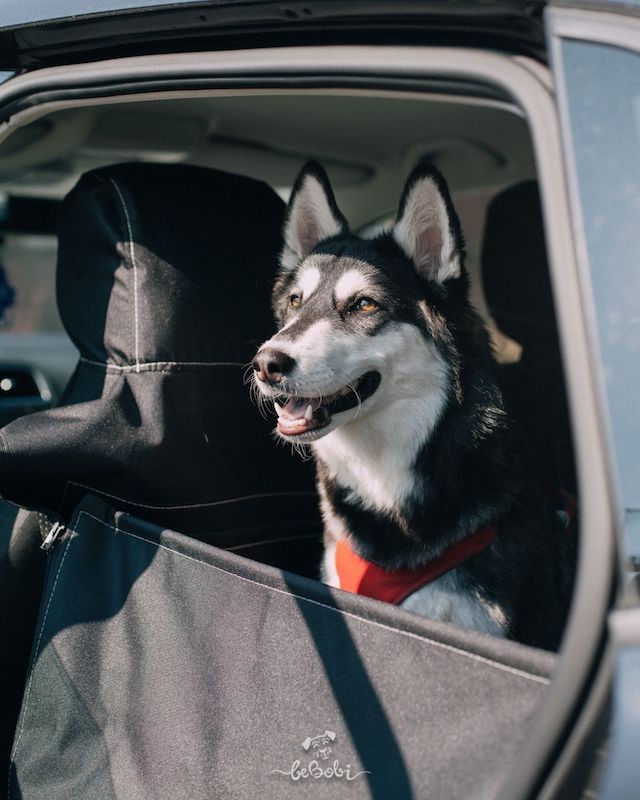 Car seat cover for a dog „KUKO+” Brown | Bebobi | PETZWELCOME