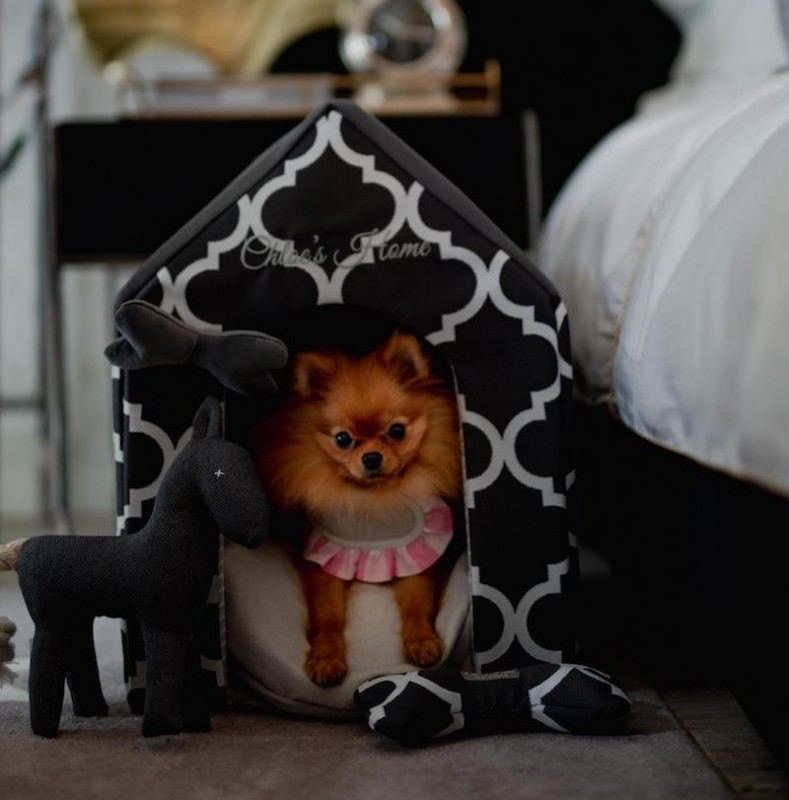 Budka dla psa lub kota ROME szara | Chloe's Home | PETZWELCOME