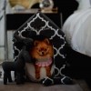 Dog and cat bed Monte Carlo pink | Chloe's Home | PETZWELCOME