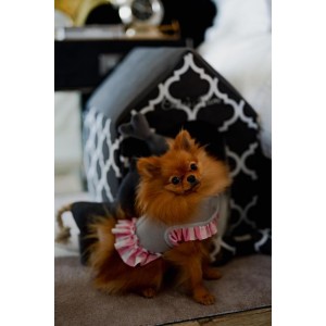 Budka dla psa lub kota ROME szara | Chloe's Home | PETZWELCOME