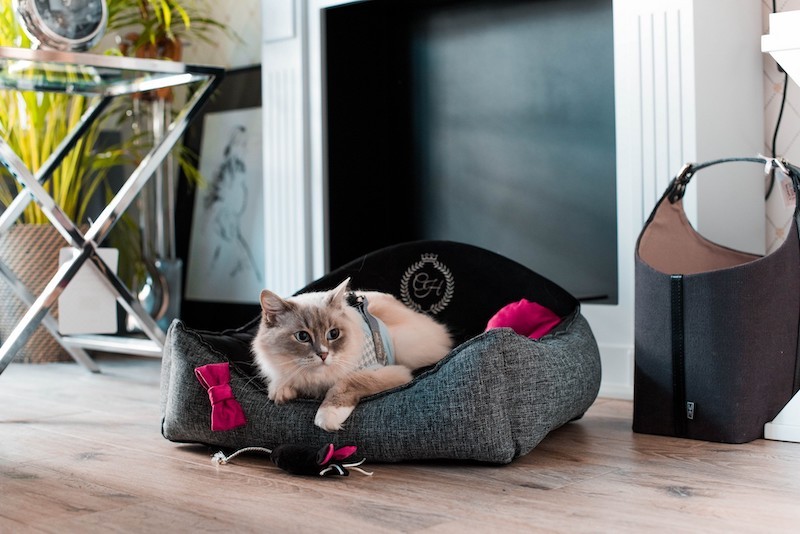 Elegant black bed for a small dog or cat PARIS