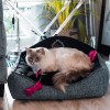 Elegant black bed for a small dog or cat PARIS