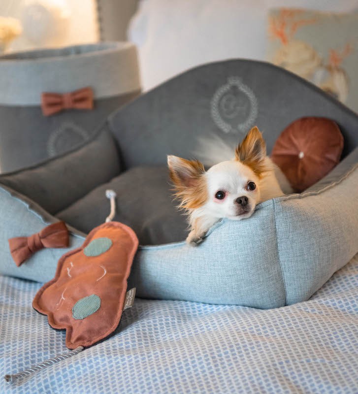 Eleganckie posłanie dla małego psa lub kota PARIS brązowe | PETZWELCOME