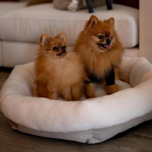 Tallinn ecru pet bed