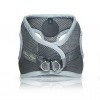 Air mesh harness DAKAR gray
