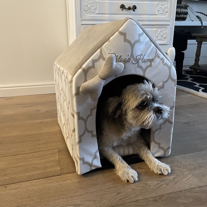 Budka dla psa lub kota ROME złota | Chloe's Home | PETZWELCOME