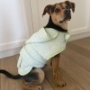 Green bathfobe for dog