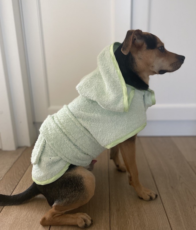 Green bathfobe for dog