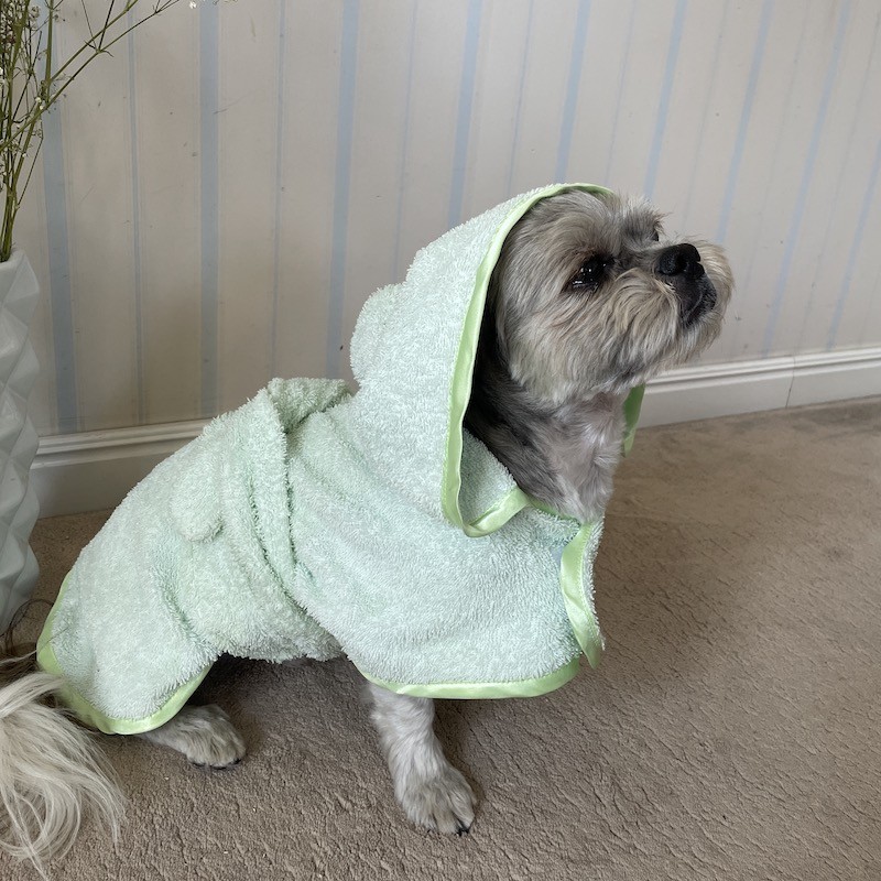 Green bathfobe for dog