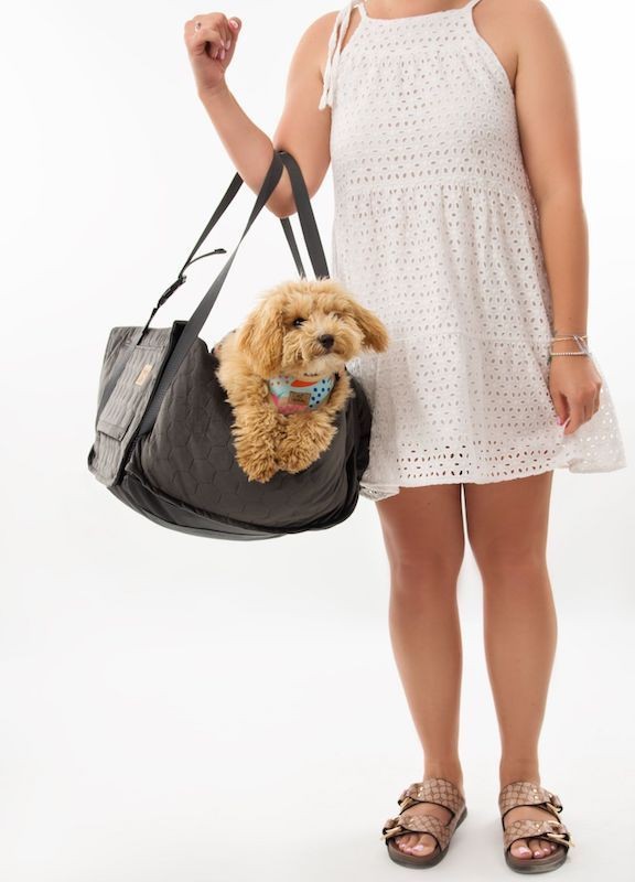 BeBobi ERO SOFT Olive dog car seat | Bebobi | PETZWELCOME