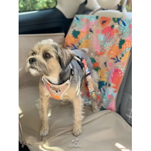 Mata ochronna do samochodu DENGU 2/3 How are you summer| BeBobi | PETZWELCOME