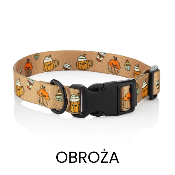 Obroże dla psa