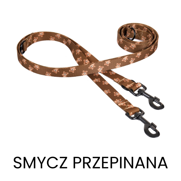 Smycz przepinana