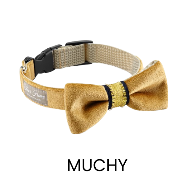 Muchy, bandany