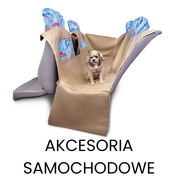Akcesoria samochodowe dla psa