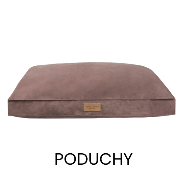 Poduchy